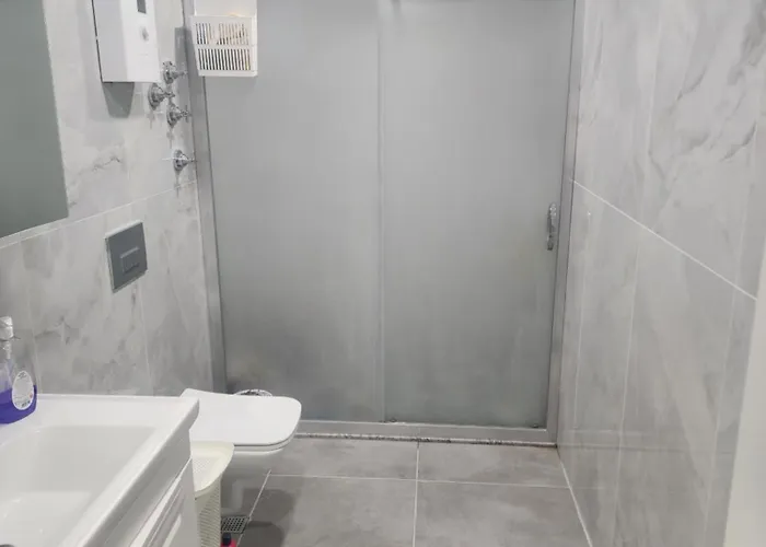 Daire Avsallar Fatma Hanım